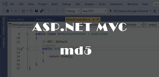 ASP.NET C# md5 şifre oluşturma uygulamalı