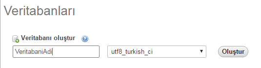 Asp.net türkçe karakter sorunu çözümü